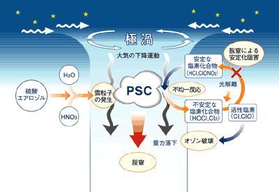 図：PSC（極成層圏雲）と脱窒のメカニズム