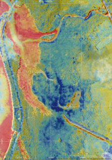 図２　衛星画像データの正規化植生指標の差分に基づいた台風前後の葉面積指数の変化
