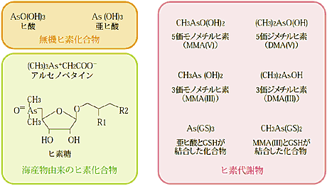 ヒ素化合物の例示の図（クリックで拡大表示）