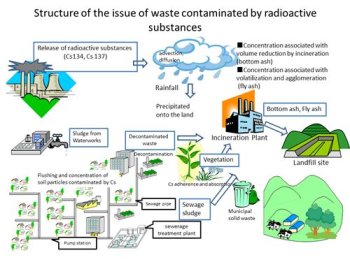 Structure of the issue of waste contaminated by radioactive substances