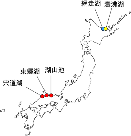日本の汽水湖における塩分耐性アオコの分布の図