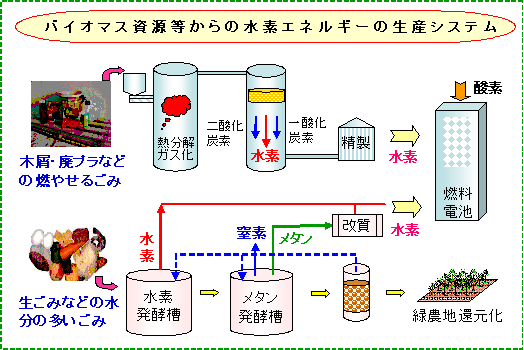 バイオマス資源等からの水素エネルギーの生産システムの図