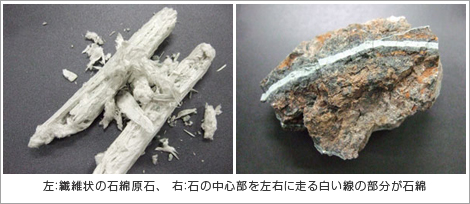 写真2点　左：繊維状の石綿原石　右：石の中心部を左右に走る白い線の部分が石綿