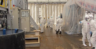 指定廃棄物（飛灰）のセメント固型化実証試験の写真