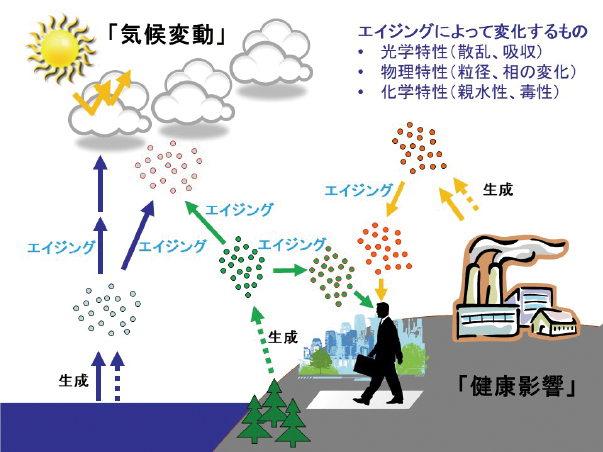 大気エアロゾルのエイジングが環境に与える影響の図