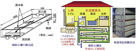 図２　アジア地域に適用可能な分散型排水処理システム