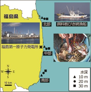 福島海域調査位置の図