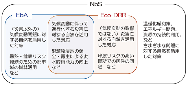 NbS（自然を活用した解決策）、EbA（生態系を活かした気候変動適応）、Eco-DRR（生態系を活かした防災・減災）の概念の相互関係図