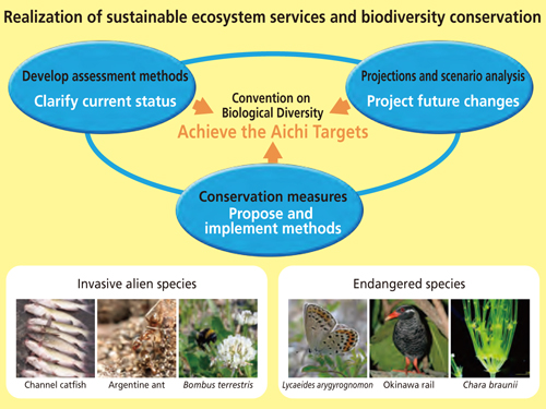 Realization sustainable ecosystem services and biodiversity conservation