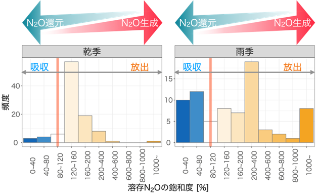 溶存N2O濃度の観測結果を飽和度で示したもの。乾季（左）と雨季（右）で濃度（飽和度）の分布が異なることが分かる図