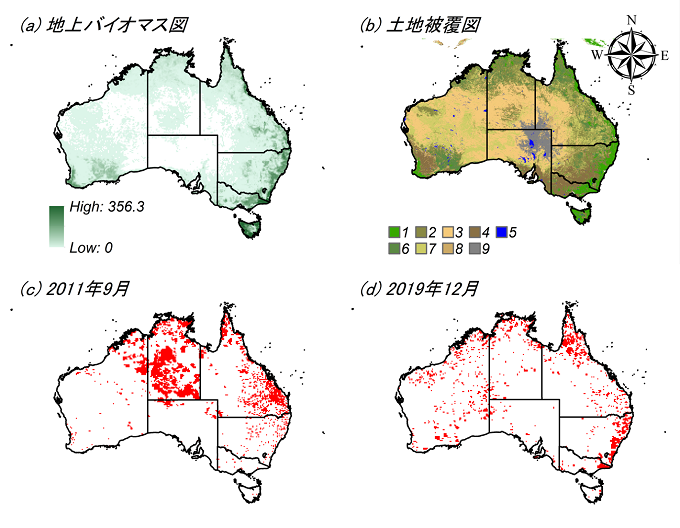 オーストラリアの地上部バイオマス、土地被覆図、2011年9月の森林火災域、2019年12月の12月の森林火災域を表した図