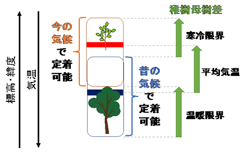 寒冷側へ移動した場合の稚樹母樹差の概念図